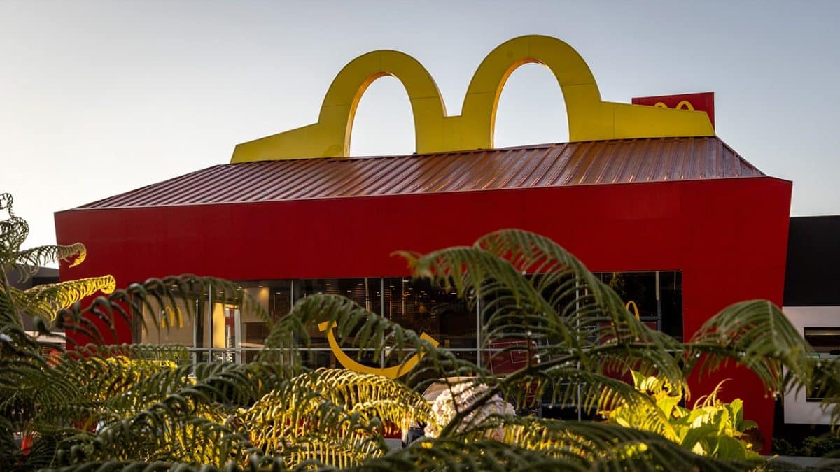 Viral photo of McDonald's PlayPlace prompts superfan to reveal fast-food chain's stray from nostalgia