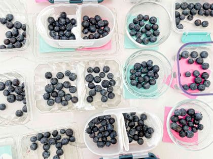 How to Keep Blueberries Fresh Longer—We Tested 18 Methods