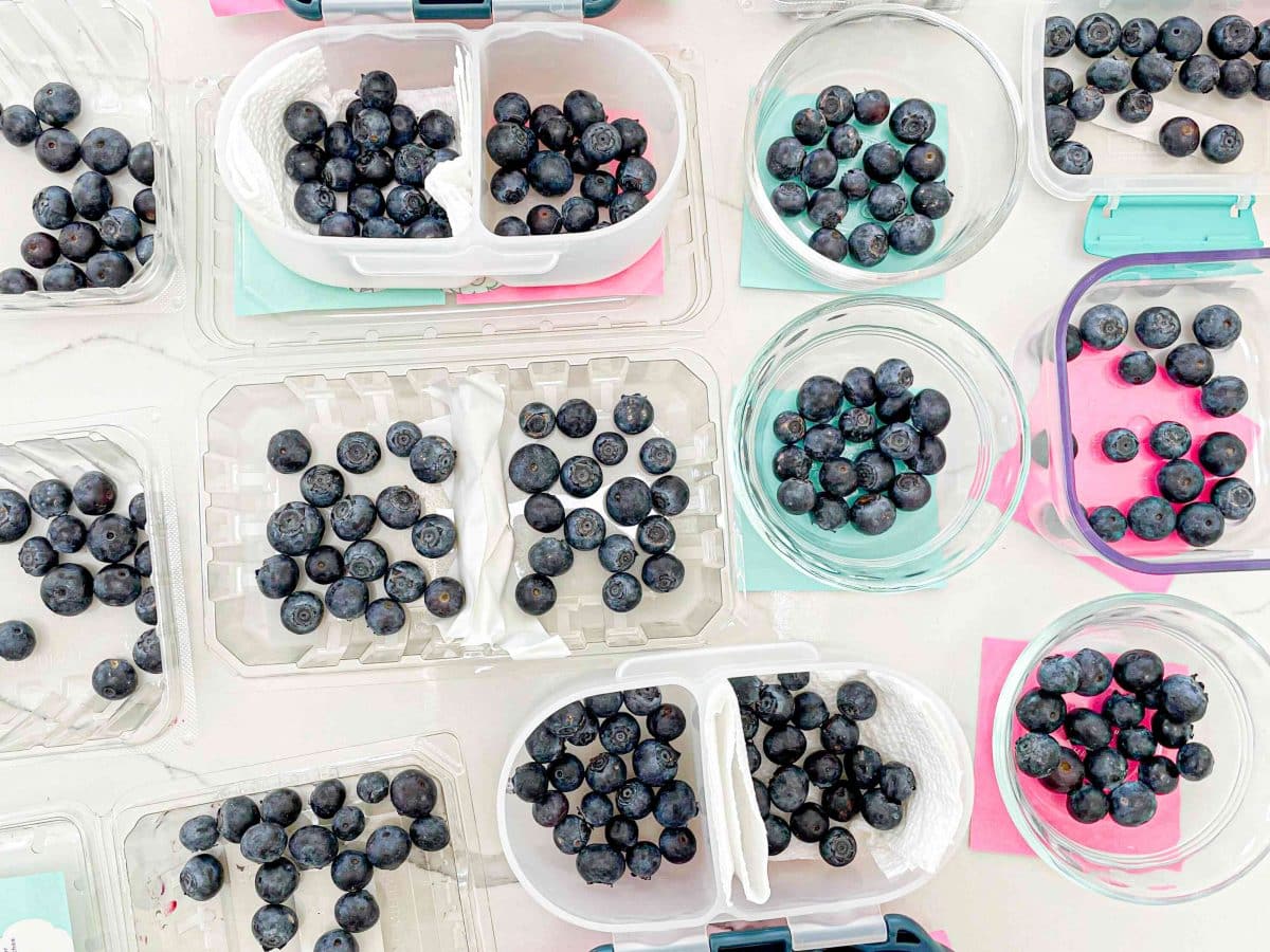 How to Keep Blueberries Fresh Longer—We Tested 18 Methods