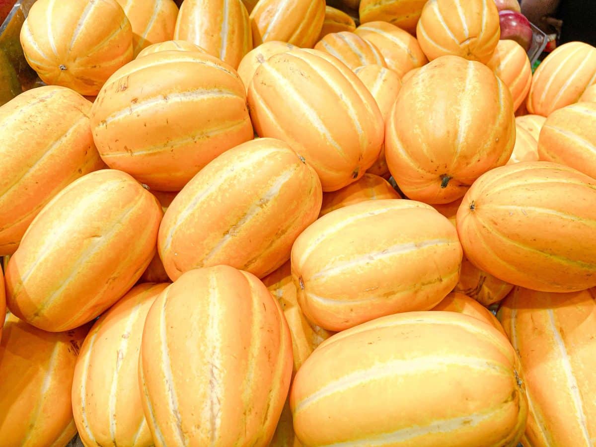 The Easy Trick to Picking Sweeter Melons This Summer