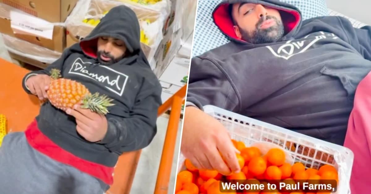 Chillest Farmer Ever Goes Viral for Laid-Back Videos: ‘Calm Down Dude’