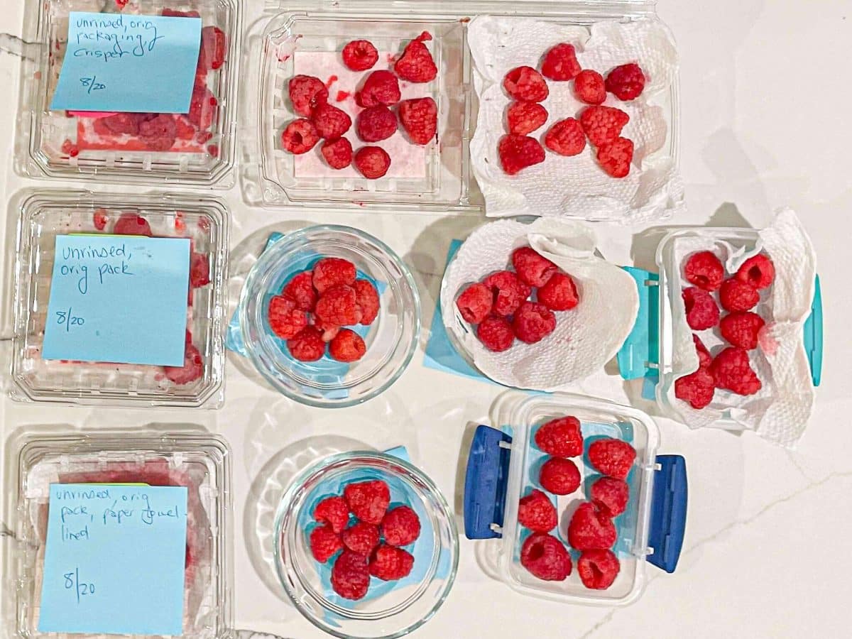 We Tested 12 Ways to Store Raspberries—These 3 Kept Them Fresh for a Week