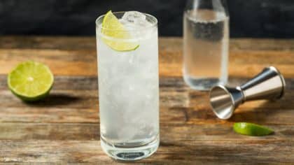 The Absolute Best Tequilas For Ranch Water, According To Experts