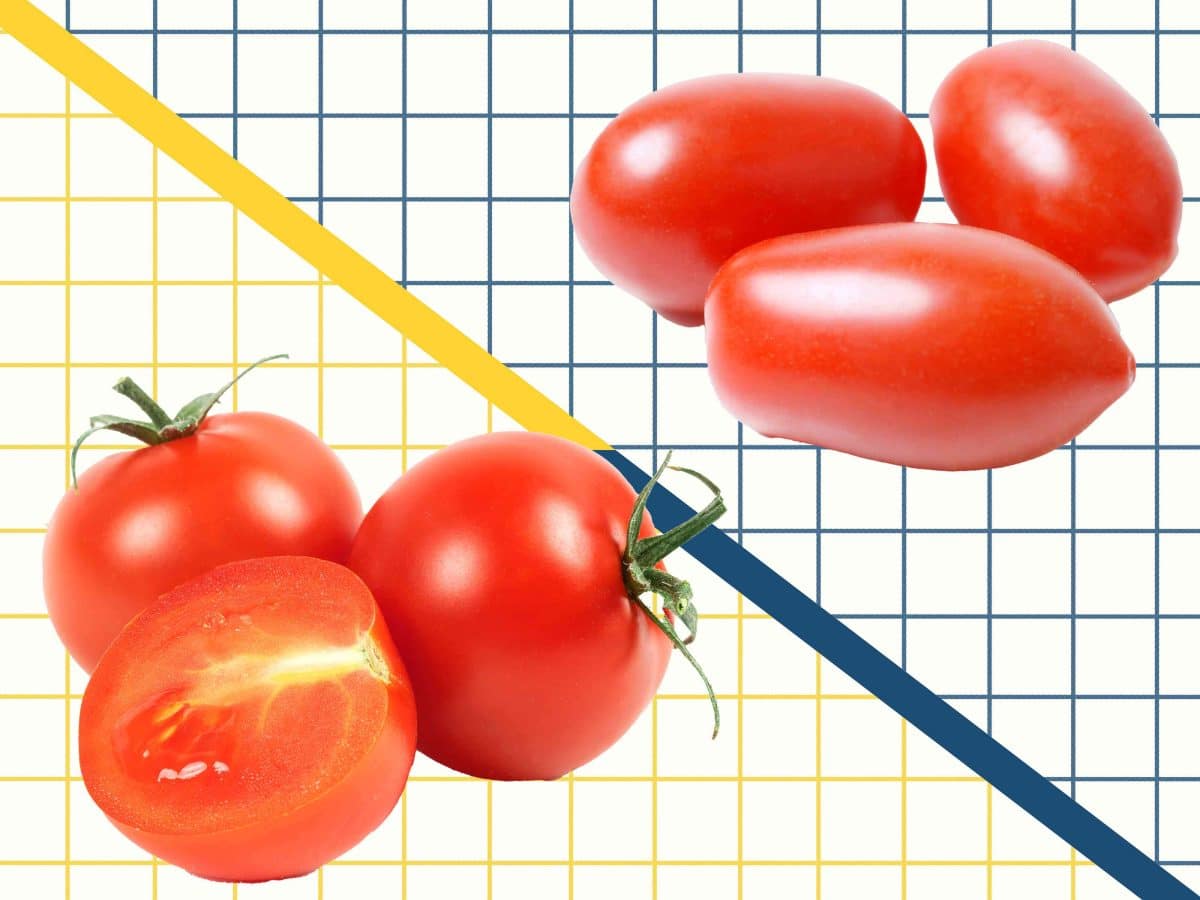 Should You Buy Cherry or Grape Tomatoes? A Tomato Expert Explains the Difference