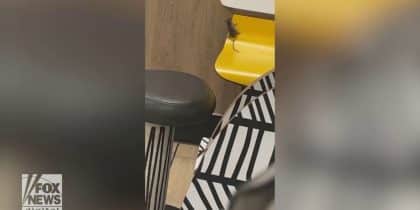 Mouse in the house! McDonald's customer captures video of rodent near her table