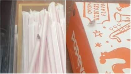 Detroit Popeyes shuts down after DoorDash driver video shows cockroaches on food order