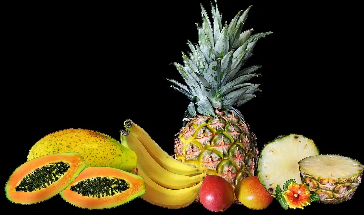 Assorted tropical fruits including mango, papaya, and pineapple showing the flavor notes in Tropical Twist