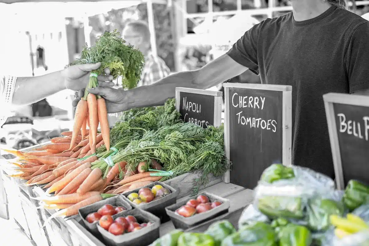 Fresh seasonal vegetables and produce at a farmers market stall