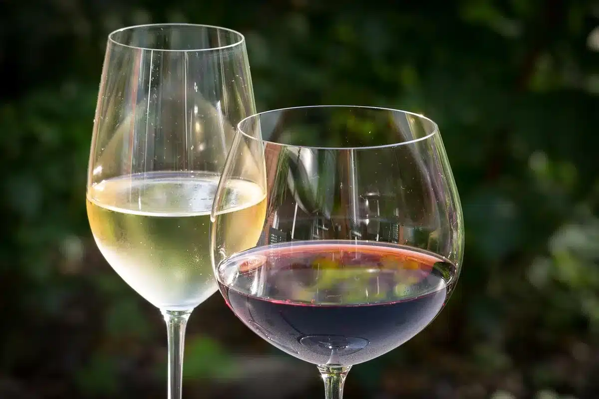 Glass of pale golden Sauvignon Blanc with lemon and fresh herbs on a table