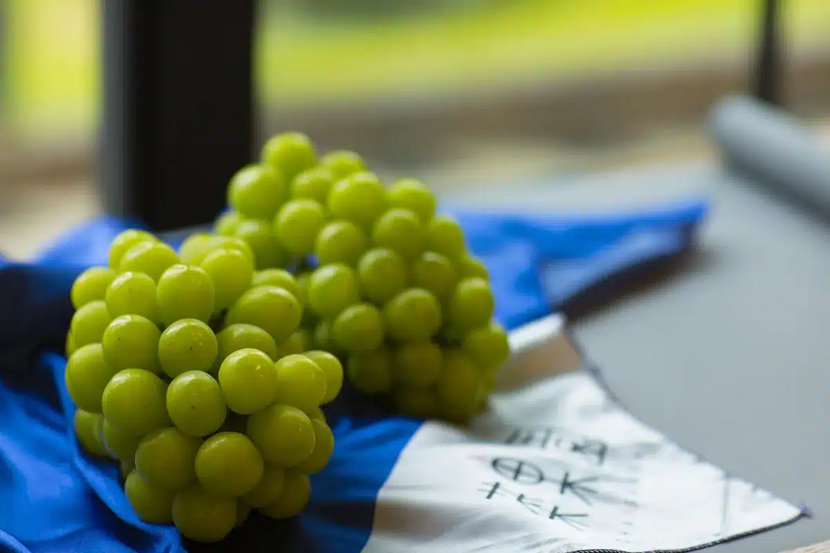 Raisins Muscat m&ucirc;rs avec des fleurs et des fruits &agrave; noyau, sources des ar&ocirc;mes du moscato.