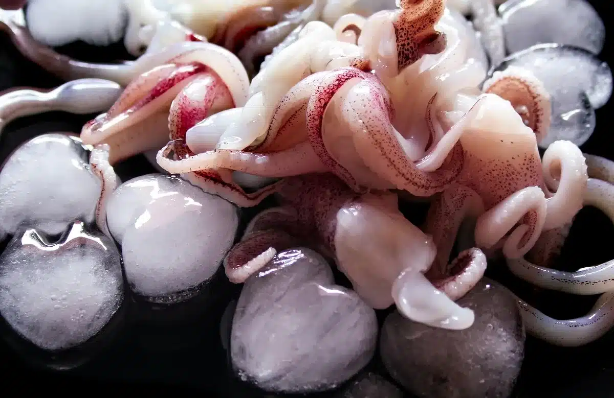 Platos de mariscos frescos y tacos sobre una mesa de madera con luz cálida