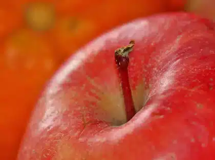 Apples in a refrigerator crisper drawer with a perforated bag, showing gentle humidity storage