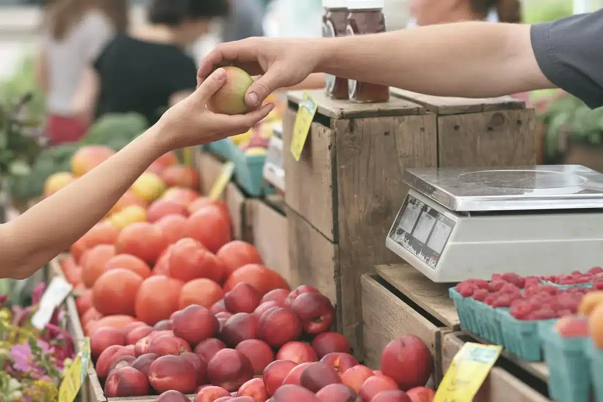 Chef selecting seasonal produce in a kitchen