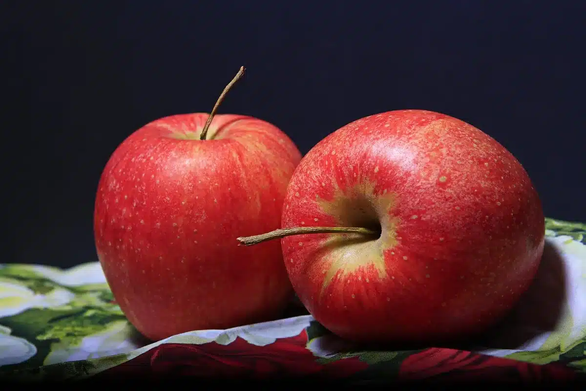 Close-up of a fruit with a PLU sticker on its skin
