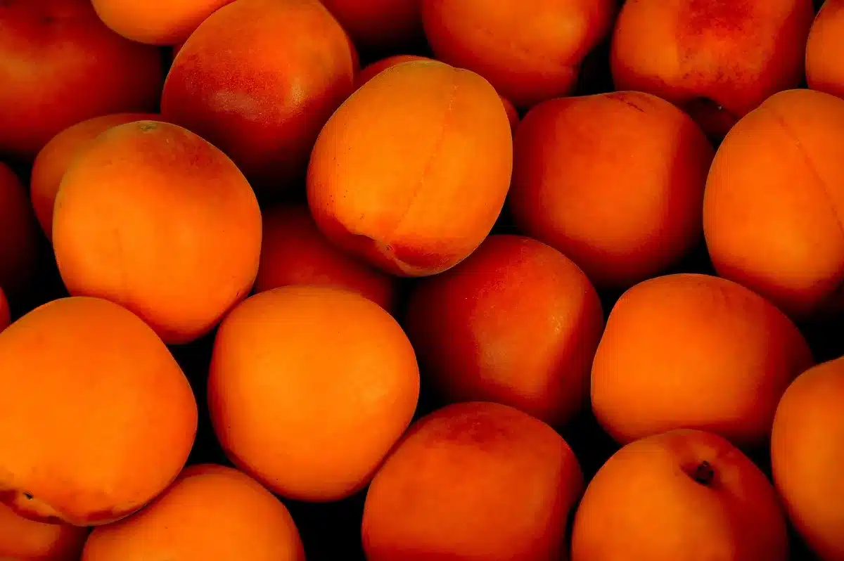 Crate of ripe mangoes of different varieties at a market