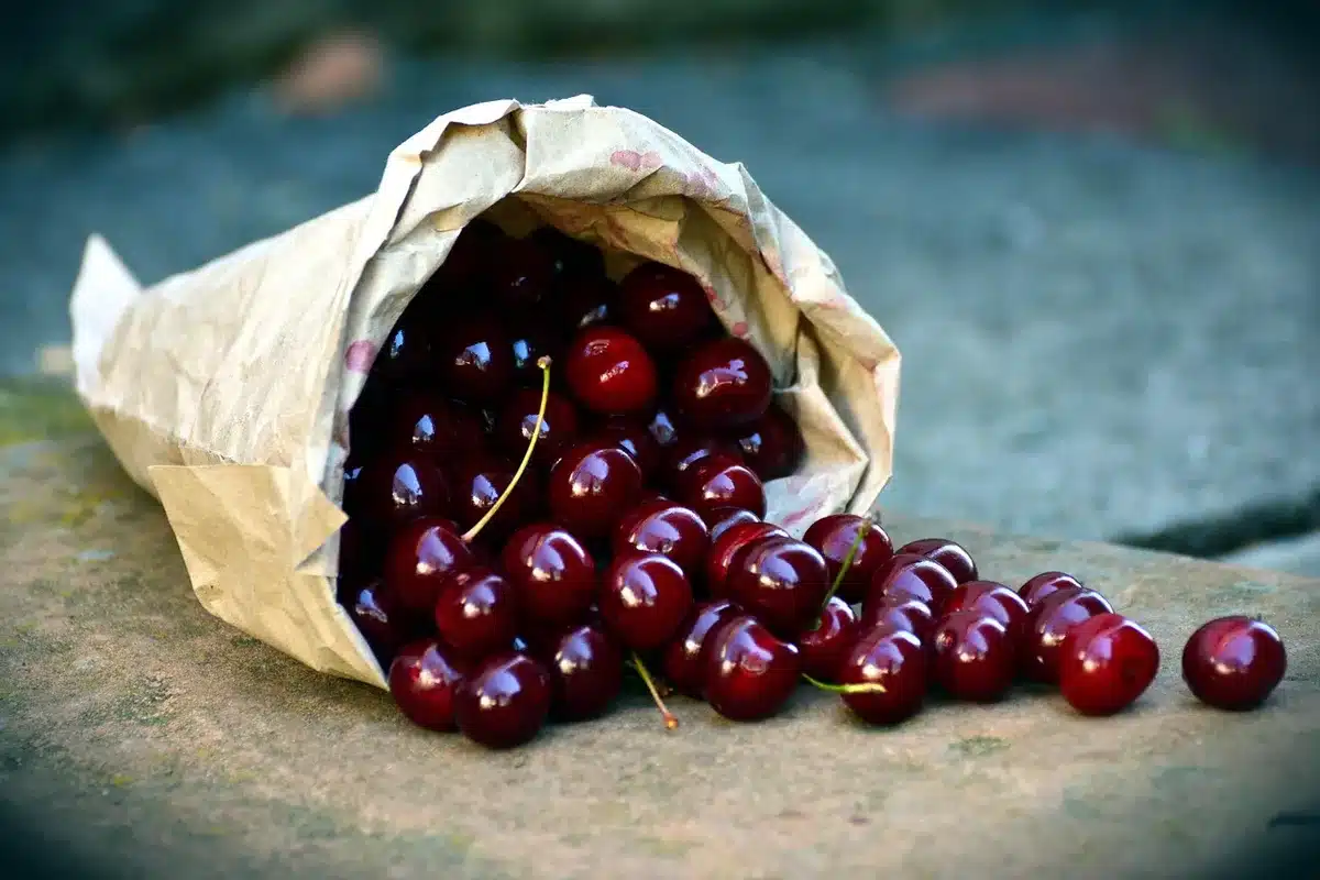 Can of cherry vanilla cola poured into a glass with ice